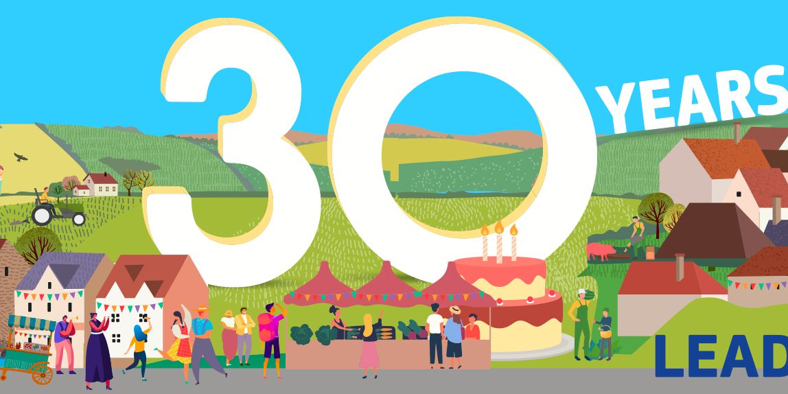 leader-30yrs-image-web