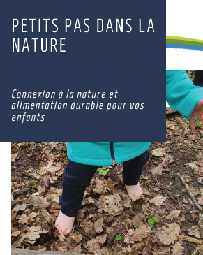 Capture d’écran 2025-03-25 083328