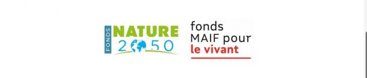 Capture d’écran 2025-10-27 161857